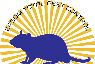 epsom-pest-control